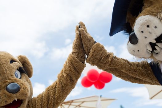 arizona alumni FB image2.jpg